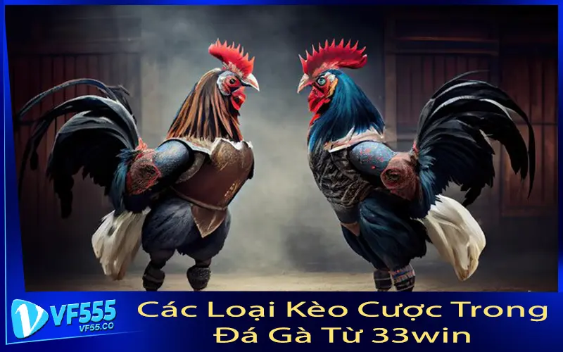 Các Loại Kèo Cược Trong Đá Gà Từ 33win