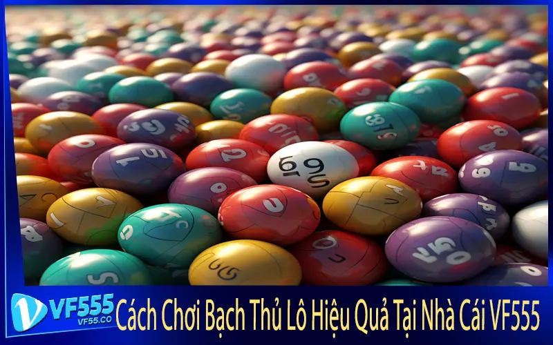 Cách Chơi Bạch Thủ Lô Hiệu Quả Tại Nhà Cái VF555