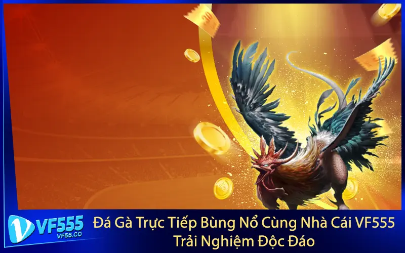 Đá Gà Trực Tiếp Bùng Nổ Cùng Nhà Cái VF555 – Trải Nghiệm Độc Đáo