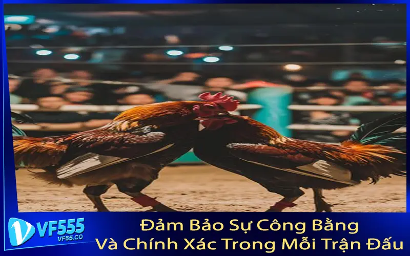 Đảm Bảo Sự Công Bằng Và Chính Xác Trong Mỗi Trận Đấu