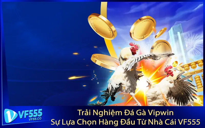 Trải Nghiệm Đá Gà Vipwin – Sự Lựa Chọn Hàng Đầu Từ Nhà Cái VF555