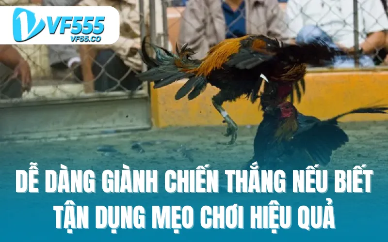 Dễ dàng giành chiến thắng nếu biết tận dụng mẹo chơi hiệu quả