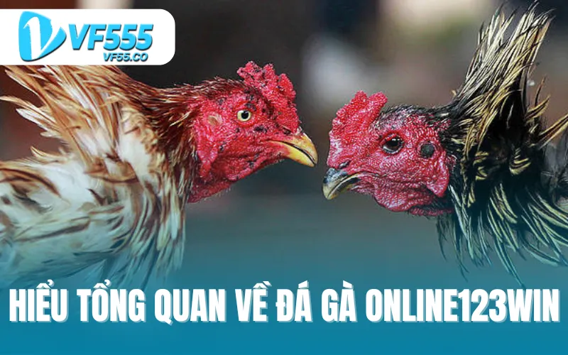 Hiểu tổng quan về đá gà online123win