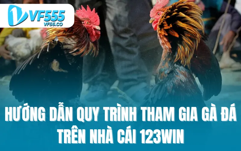 Hướng dẫn quy trình tham gia gà đá trên nhà cái 123win
