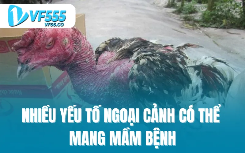 Nhiều yếu tố ngoại cảnh có thể mang mầm bệnh